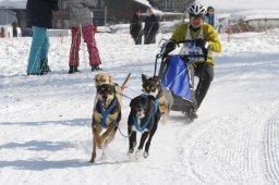Lenk 2012 SM